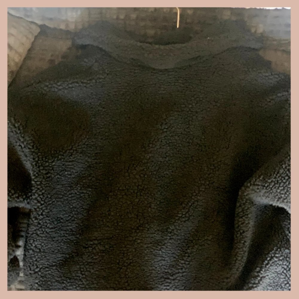Zip Up Teddy - Picture 3 of 3